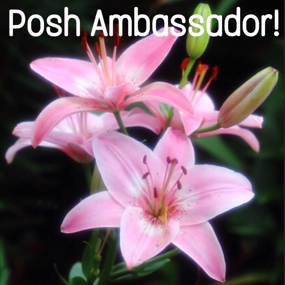 I’m a Posh Ambassador! 🌻